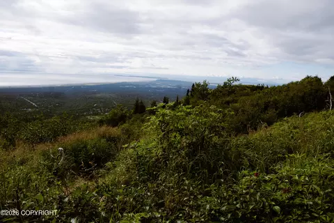 000 Sunshine Loop, Anchorage, AK 99516 photo 6