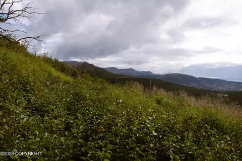 000 Sunshine Loop, Anchorage, AK 99516 photo 8