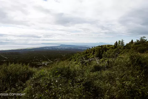 000 Sunshine Loop, Anchorage, AK 99516 photo 5