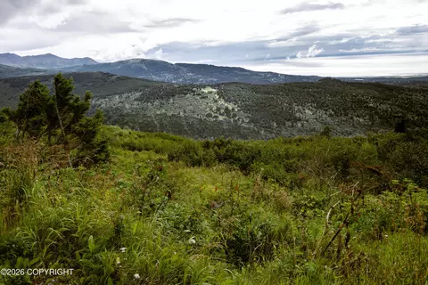 000 Sunshine Loop, Anchorage, AK 99516 photo 3