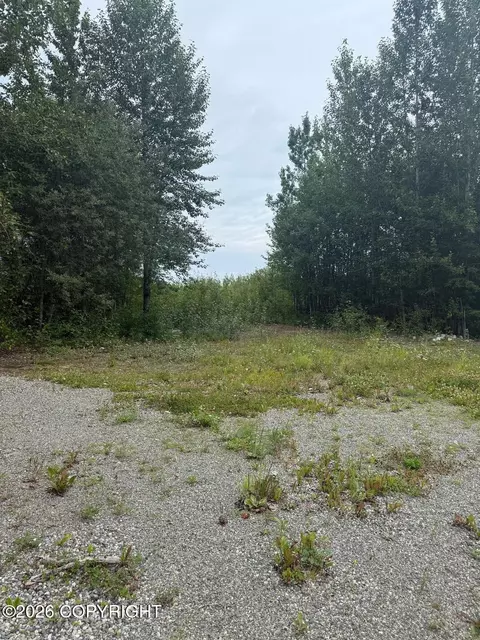 Other - 18750 N Mae Loop, Willow, AK 99688 photo 10 of 14