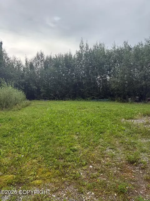 Other - 18750 N Mae Loop, Willow, AK 99688 photo 11 of 14