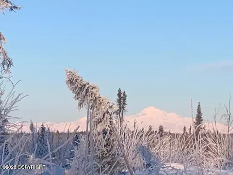 Other - 18750 N Mae Loop, Willow, AK 99688 photo 14 of 14