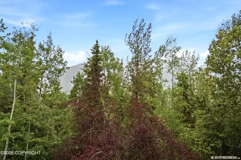 Other - 19652 Highland Ridge Dr, Eagle River, AK 99577 photo 9 of 17