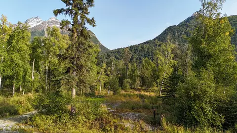 12704 E Wycoff Dr, Palmer, AK 99645