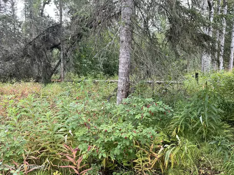 Other - 40137 Moose Range Dr, Sterling, AK 99672 photo 11 of 14