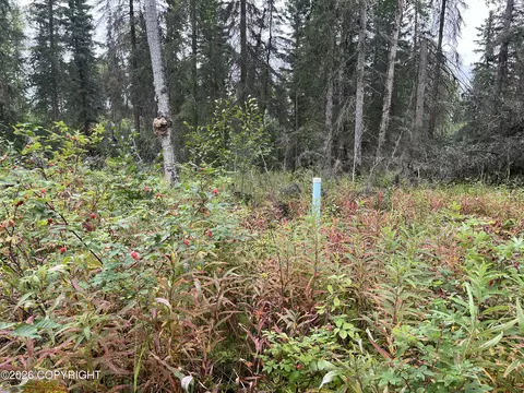 Other - 40137 Moose Range Dr, Sterling, AK 99672 photo 10 of 14