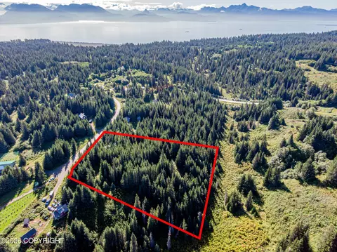 57875 Blueberry Glen Ct, Homer, AK 99603