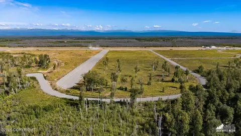 18062 N Arctic Cat St, Willow, AK 99688 photo 45