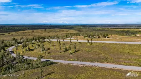 18062 N Arctic Cat St, Willow, AK 99688 photo 50