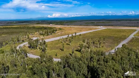 18062 N Arctic Cat St, Willow, AK 99688 photo 47