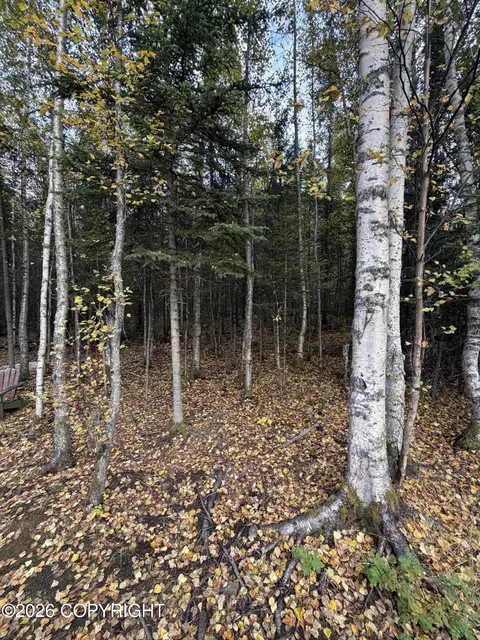 6801 W Opal St, Wasilla, AK 99623