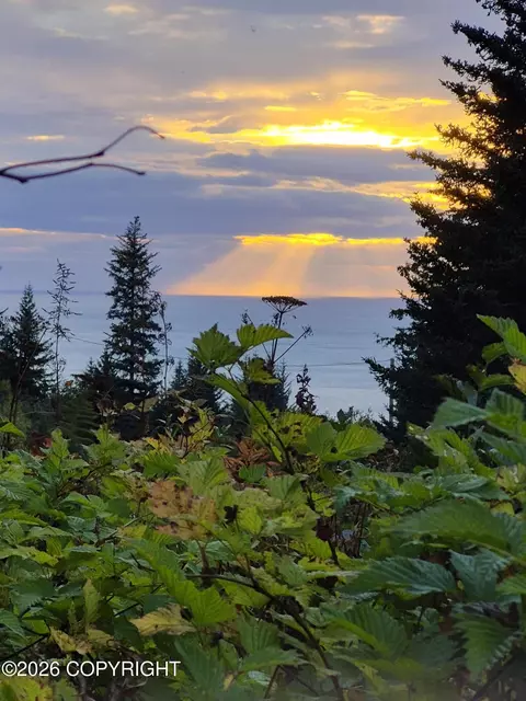 1253 S Boone Ln, Seldovia, AK 99663