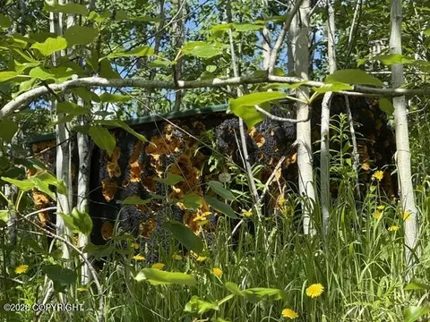 000 Eklund L2 B2, Eagle River, AK 99577 photo 7
