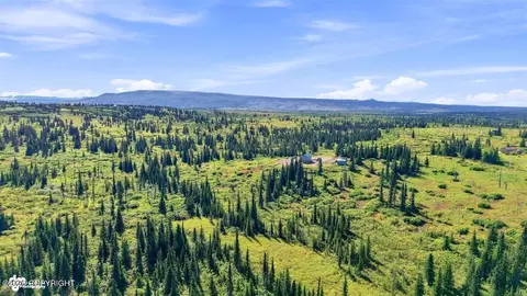 16685 Peacock St, Ninilchik, AK 99639 photo 25