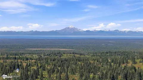 16685 Peacock St, Ninilchik, AK 99639 photo 11