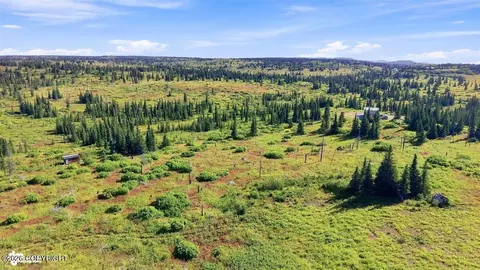 16685 Peacock St, Ninilchik, AK 99639 photo 13