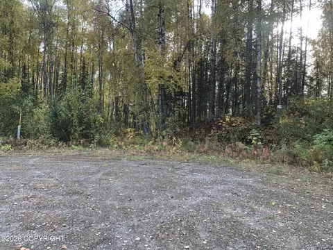 B4 L11 N Compass Circle, Willow, AK 99688 photo 3