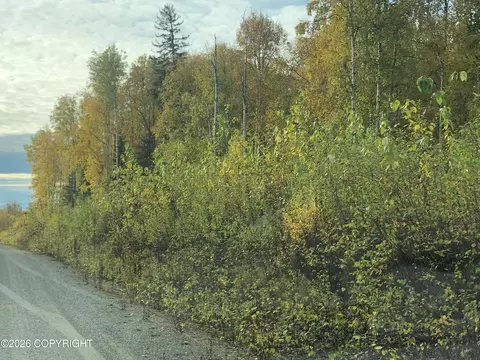 21312 W Bow Tie Loop, Willow, AK 99688 photo 2