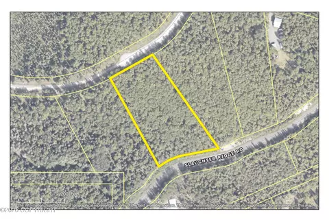 L18 Slaughter Ridge Road, Cooper Landing, AK 99572