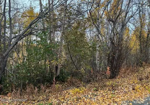4916 S Horseshoe Lake Rd, Big Lake, AK 99652