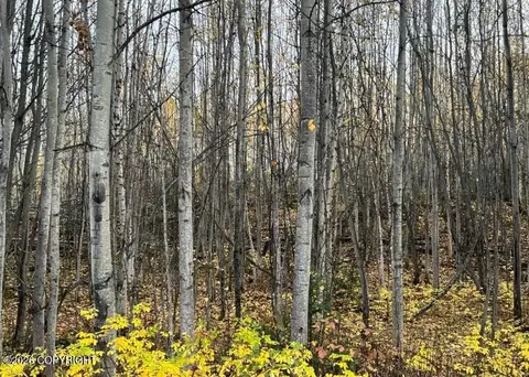 5082 S Horseshoe Lake Rd, Big Lake, AK 99652