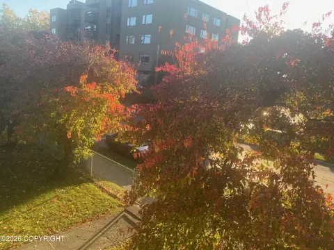 Other - 402 E 11th Ave, Anchorage, AK 99501 photo 16 of 17