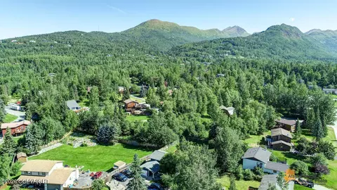 View/Area - 11033 Buskin Cir, Eagle River, AK 99577 photo 2 of 10