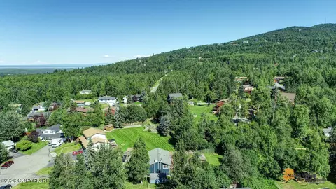 View/Area - 11033 Buskin Cir, Eagle River, AK 99577 photo 3 of 10