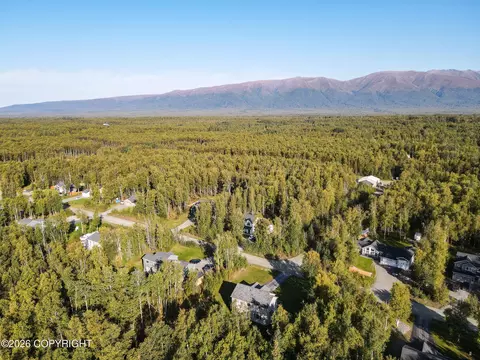 View/Area - 4386 E Kilo Dr, Wasilla, AK 99654 photo 7 of 14