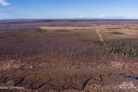 41357 W Krantz Rd, Willow, AK 99688 photo 17