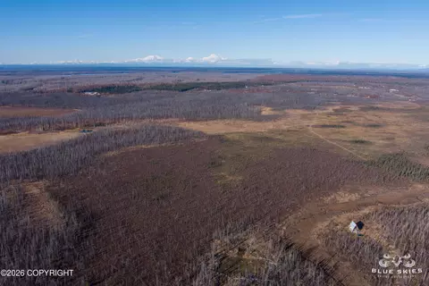 41357 W Krantz Rd, Willow, AK 99688 photo 30