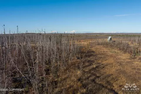 41357 W Krantz Rd, Willow, AK 99688 photo 13
