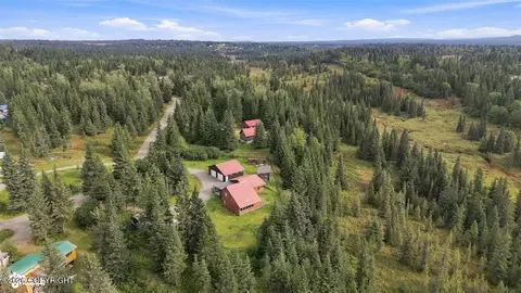 View/Area - 22900 Shady Dr, Ninilchik, AK 99639 photo 2 of 11