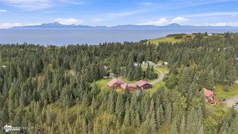 View/Area - 22900 Shady Dr, Ninilchik, AK 99639 photo 4 of 11