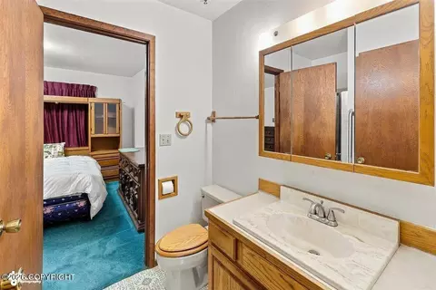 Bath - 22900 Shady Dr, Ninilchik, AK 99639 photo 1 of 6