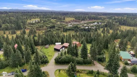 View/Area - 22900 Shady Dr, Ninilchik, AK 99639 photo 1 of 11