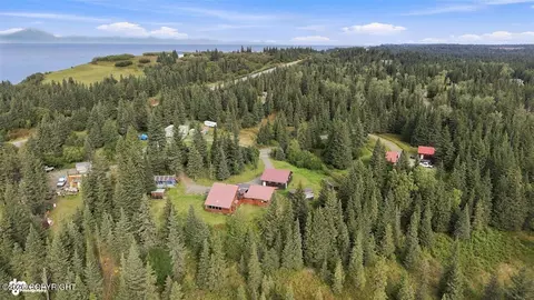 View/Area - 22900 Shady Dr, Ninilchik, AK 99639 photo 3 of 11