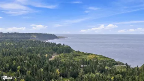 View/Area - 22900 Shady Dr, Ninilchik, AK 99639 photo 8 of 11