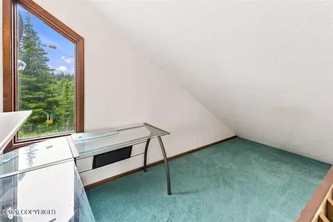 Other - 22900 Shady Dr, Ninilchik, AK 99639 photo 9 of 29