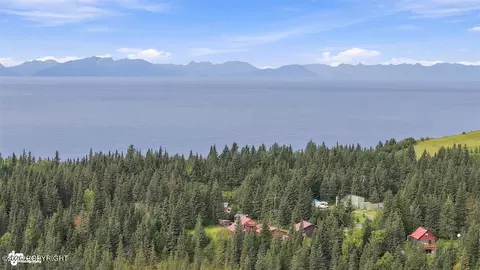 View/Area - 22900 Shady Dr, Ninilchik, AK 99639 photo 6 of 11