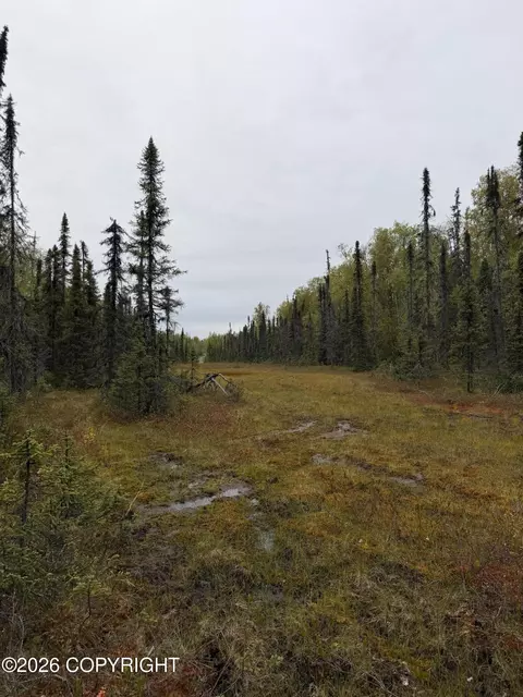 38554 S Malaspina Loop, Talkeetna, AK 99676