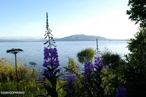 L2-3 N No Road Trail, Pilot Point, AK 99649
