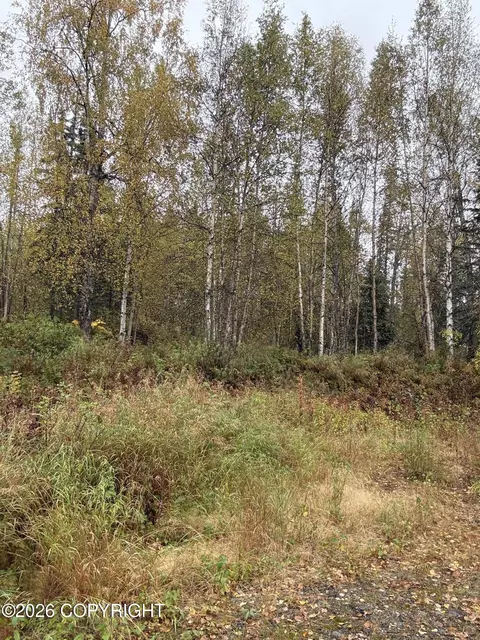 21174 Alitak Rd, Talkeetna, AK 99676