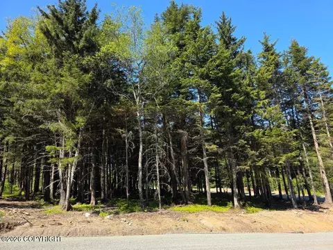 lot25 Martin Ave, Haines, AK 99827