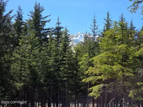 lot26 A Martin Ave, Haines, AK 99827