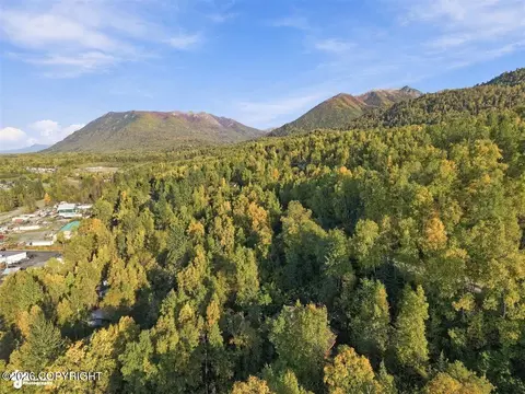 View/Area - 18454 Amonson Rd, Chugiak, AK 99567 photo 5 of 7