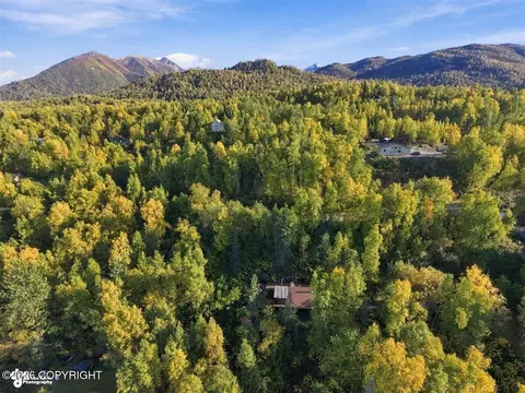 View/Area - 18454 Amonson Rd, Chugiak, AK 99567 photo 4 of 7