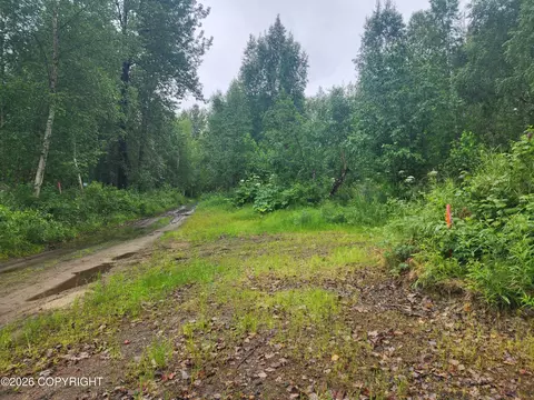 24076 W Wade Dr, Willow, AK 99688 photo 11