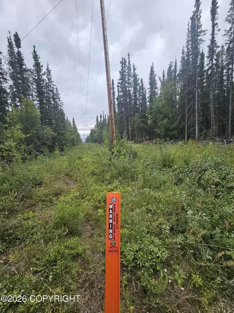 L16 B1 Trapline Drive, Copper Center, AK 99573